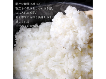 1升炊き 炊飯器 アイリスオーヤマ RC-IK10